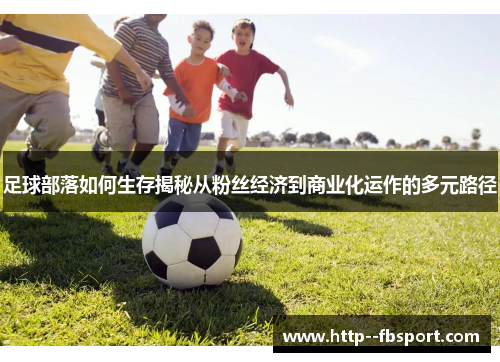 足球部落如何生存揭秘从粉丝经济到商业化运作的多元路径 足球部落如何生存揭秘从粉丝经济到商业化运作的多元路径