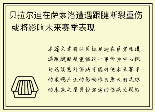 贝拉尔迪在萨索洛遭遇跟腱断裂重伤 或将影响未来赛季表现